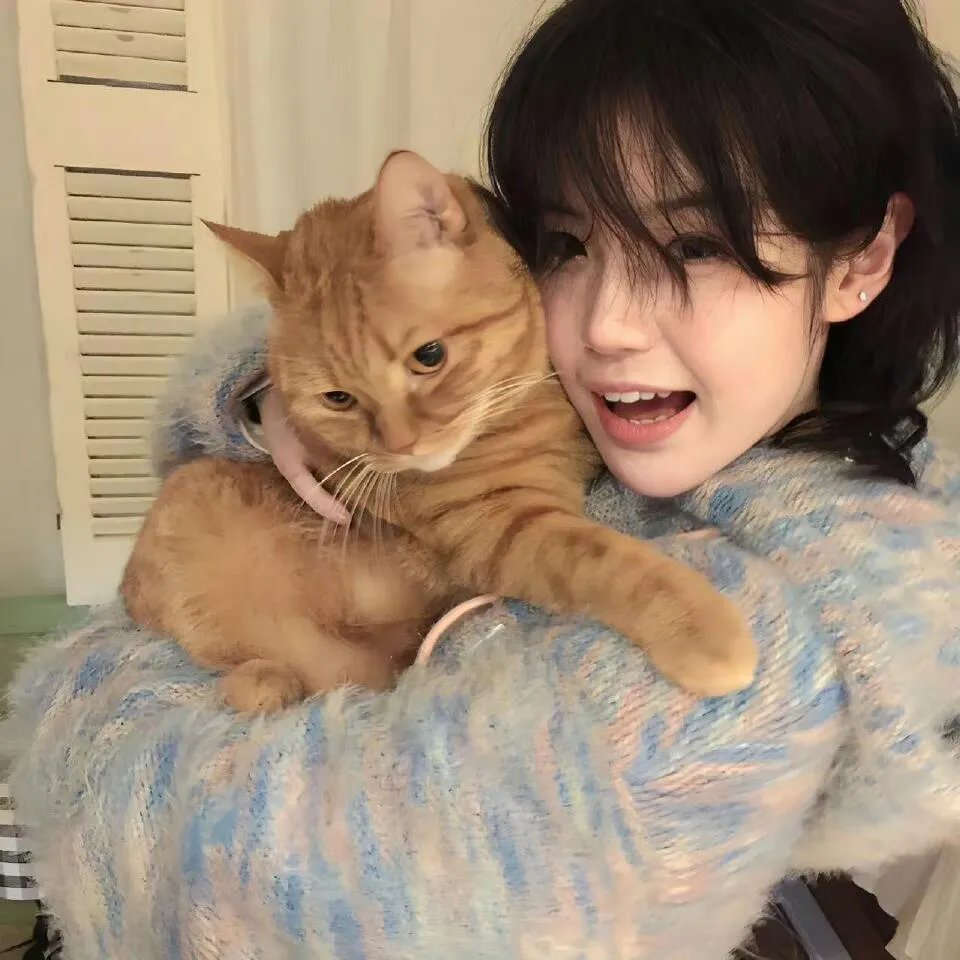 16次日出